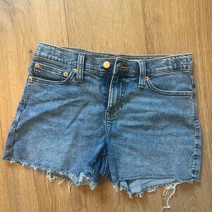 JCrew Crewcuts Denim Shorts